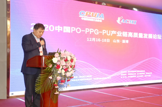 山東藍(lán)星東大有限公司總工程師、總經(jīng)理助理郭輝